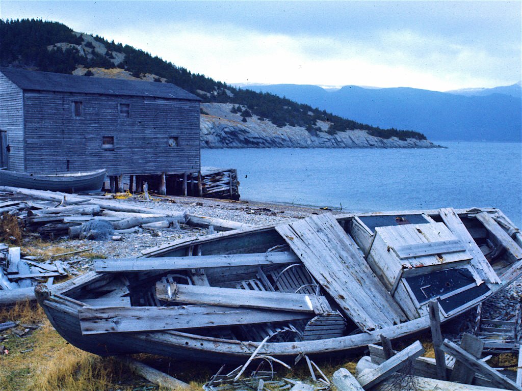 Goose Arm Newfoundland Canada by paul toman