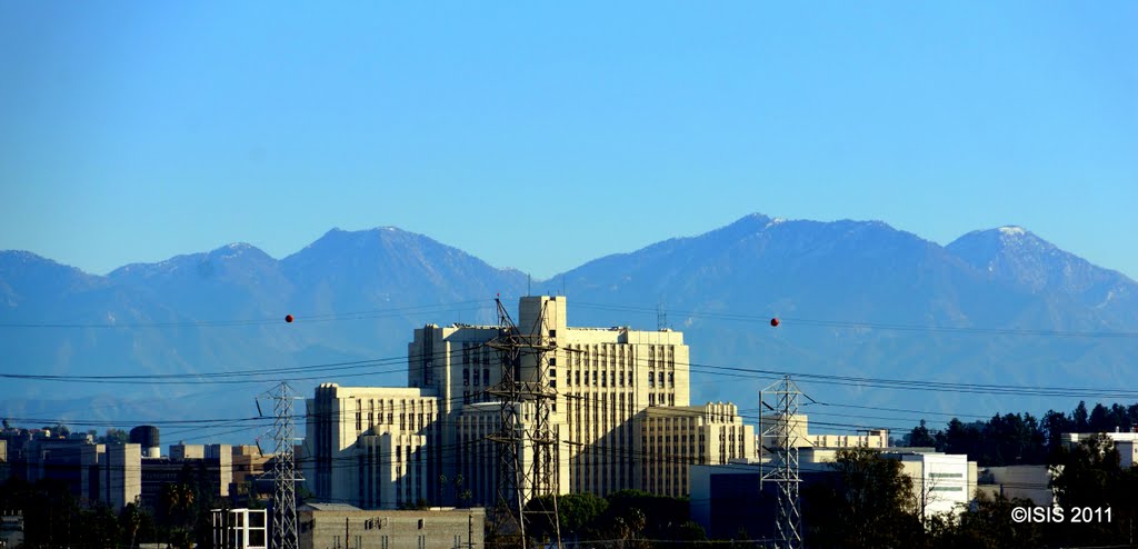 L.A. County / USC Medical Center • Los Angeles, Ca by Easy Street Images ©