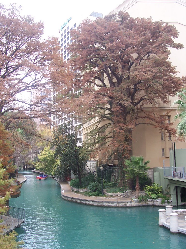 Sniper Cyprus on the San Antonio River by bmoses