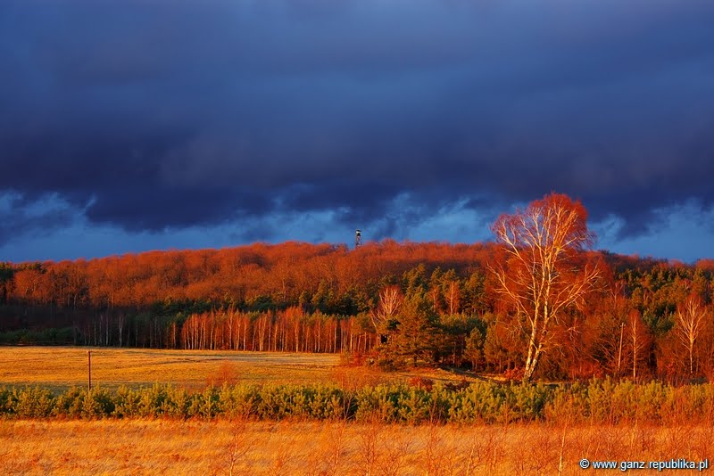 Jesień o zachodzie słońca (Polish Autumn - Sunset) by Ganz