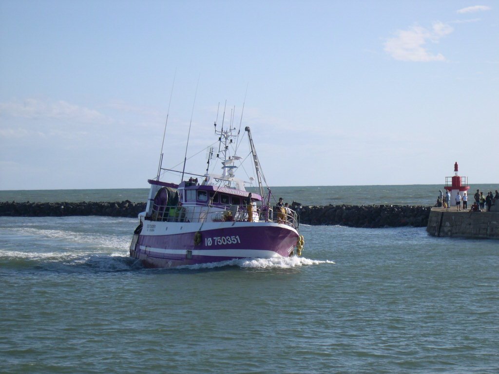 Ile d'Oléron (retour de pêche, La Cotinière) by René POUX