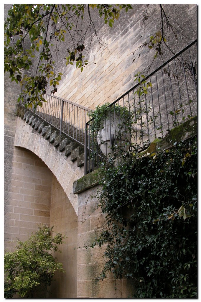 Escaleras by Francis Woo