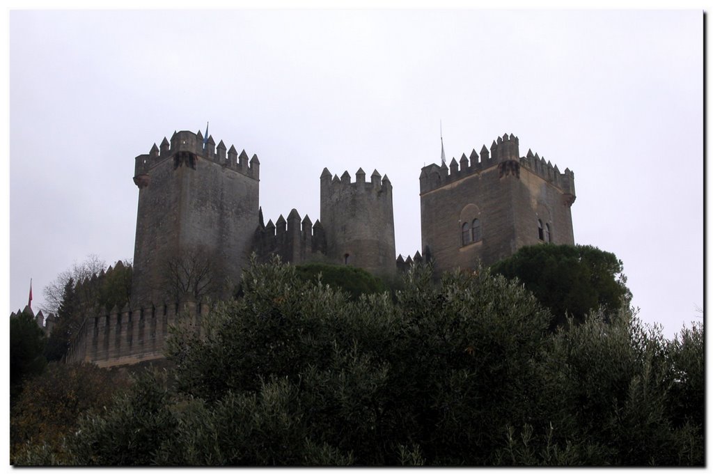 Castillo de Almodovar by Francis Woo