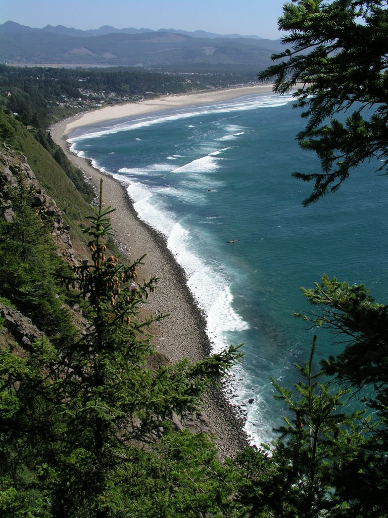 Manzanita by Andrew Sager