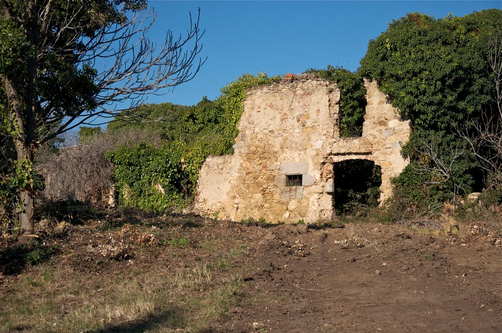 Sant Feliu de Buixalleu: Les cases Ramones by salvador soler vilavella