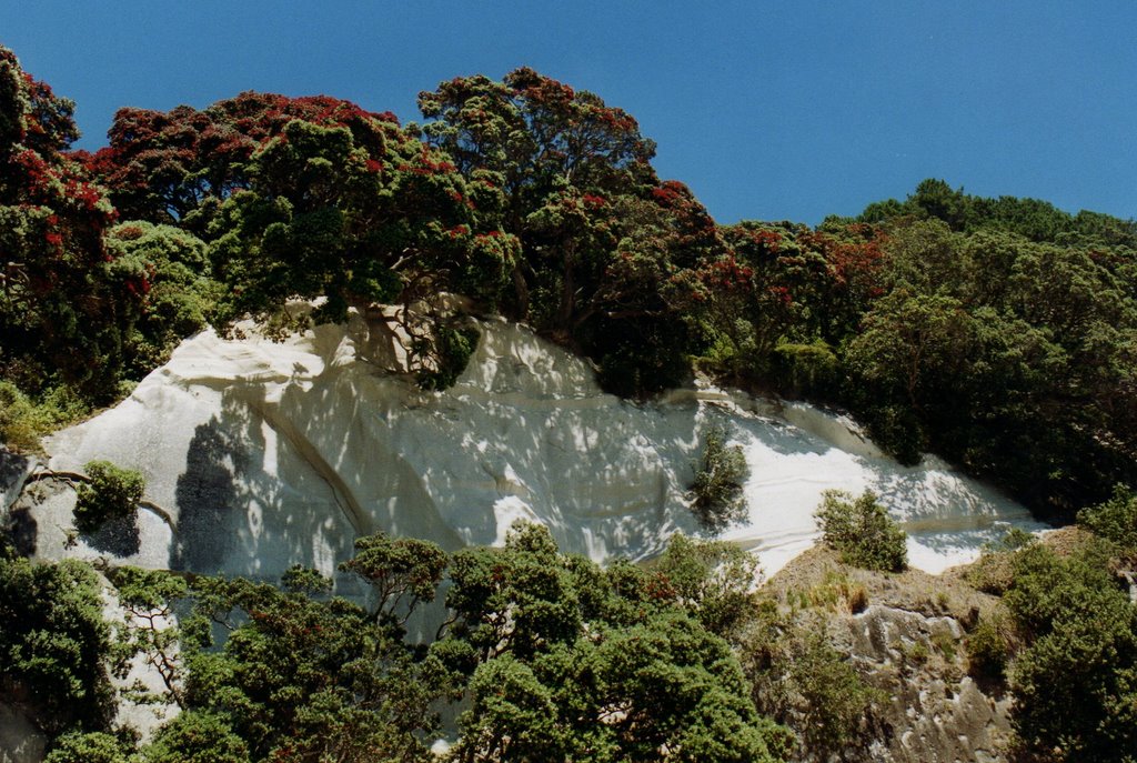 Cliff at Cathedral Cove by TFa Muc