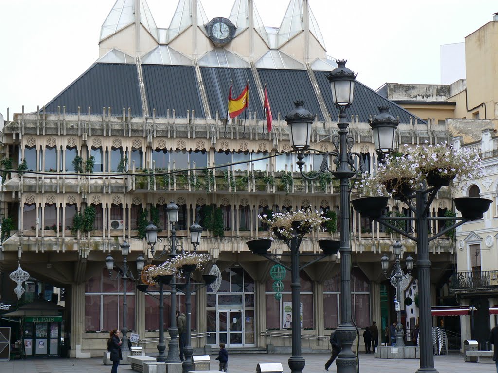 Ayuntamiento.- Ciudad Real.- España by arianadealba