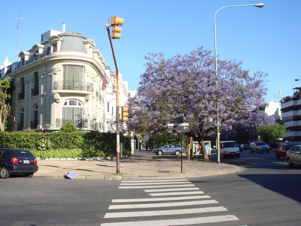 Costa y Figueroa Alcorta by Fernando Spinelli