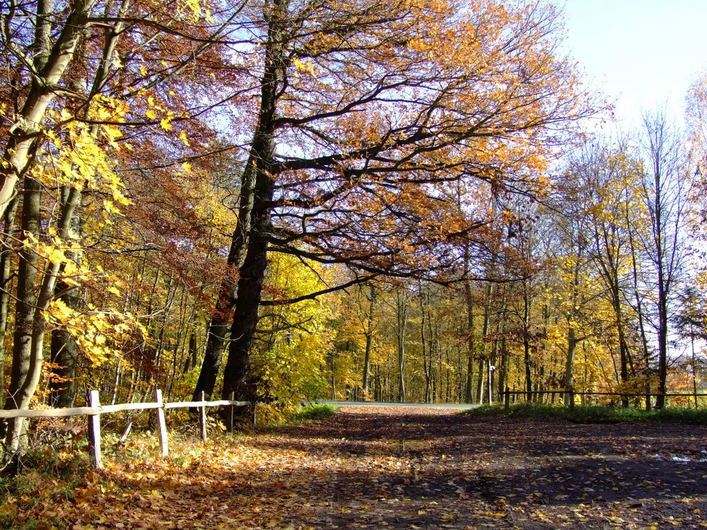 Herbst 2007 by B. Möller