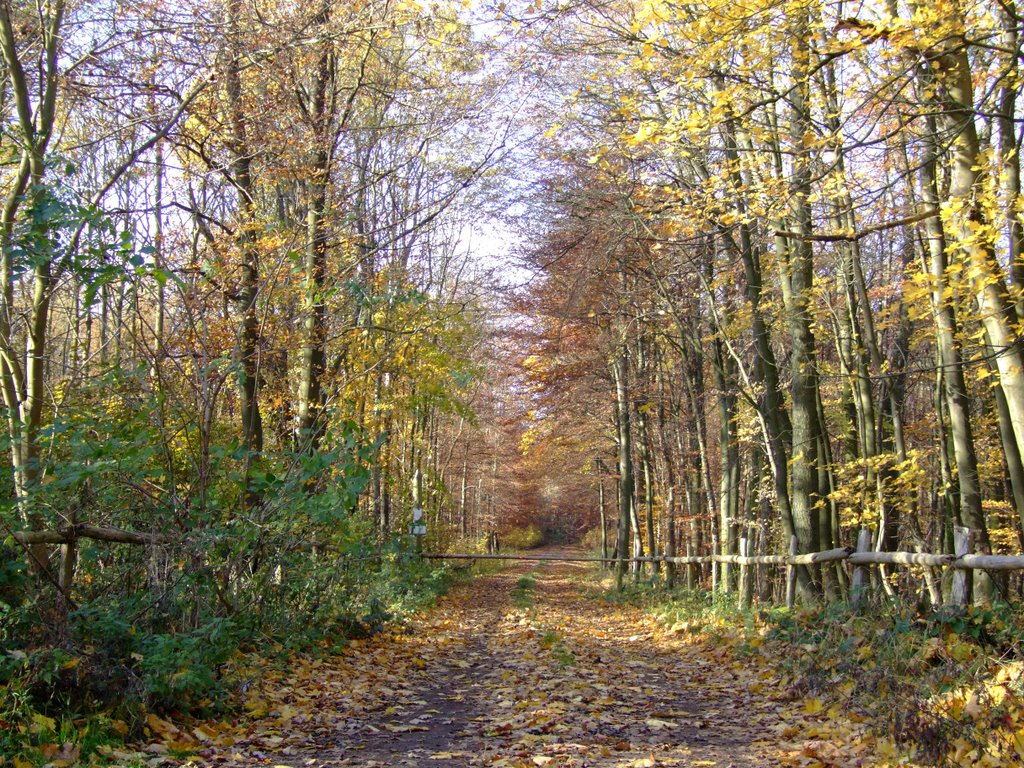 Herbst 2007 by B. Möller