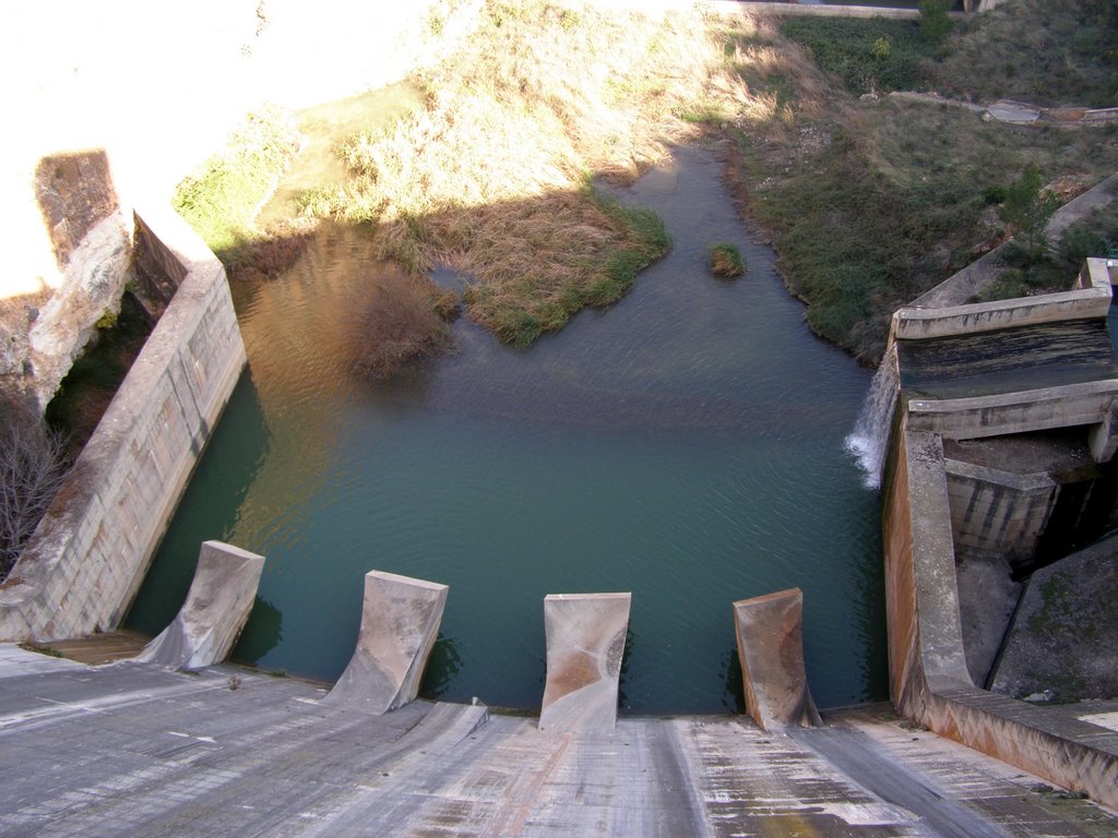 presa del panta de forata by josepr