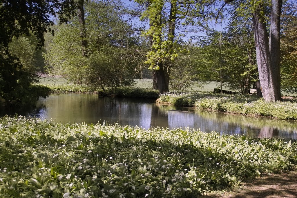 Rheder Schloßpark by Rainer Fiedler