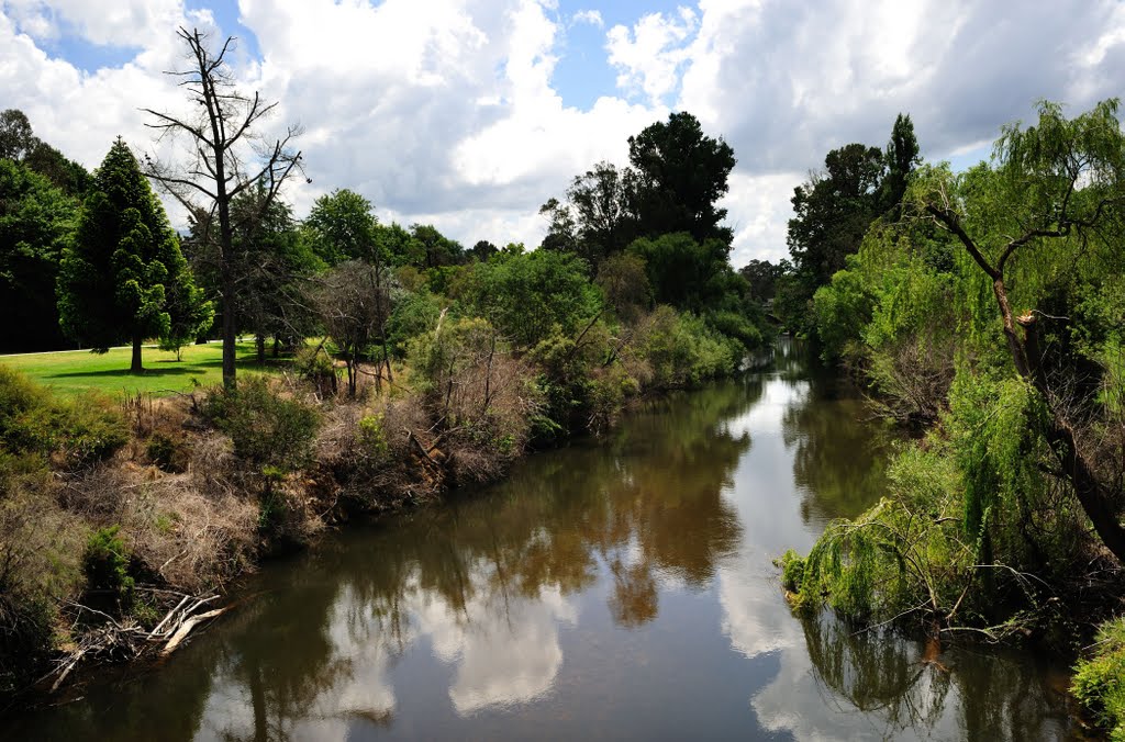 Ovens River by densil