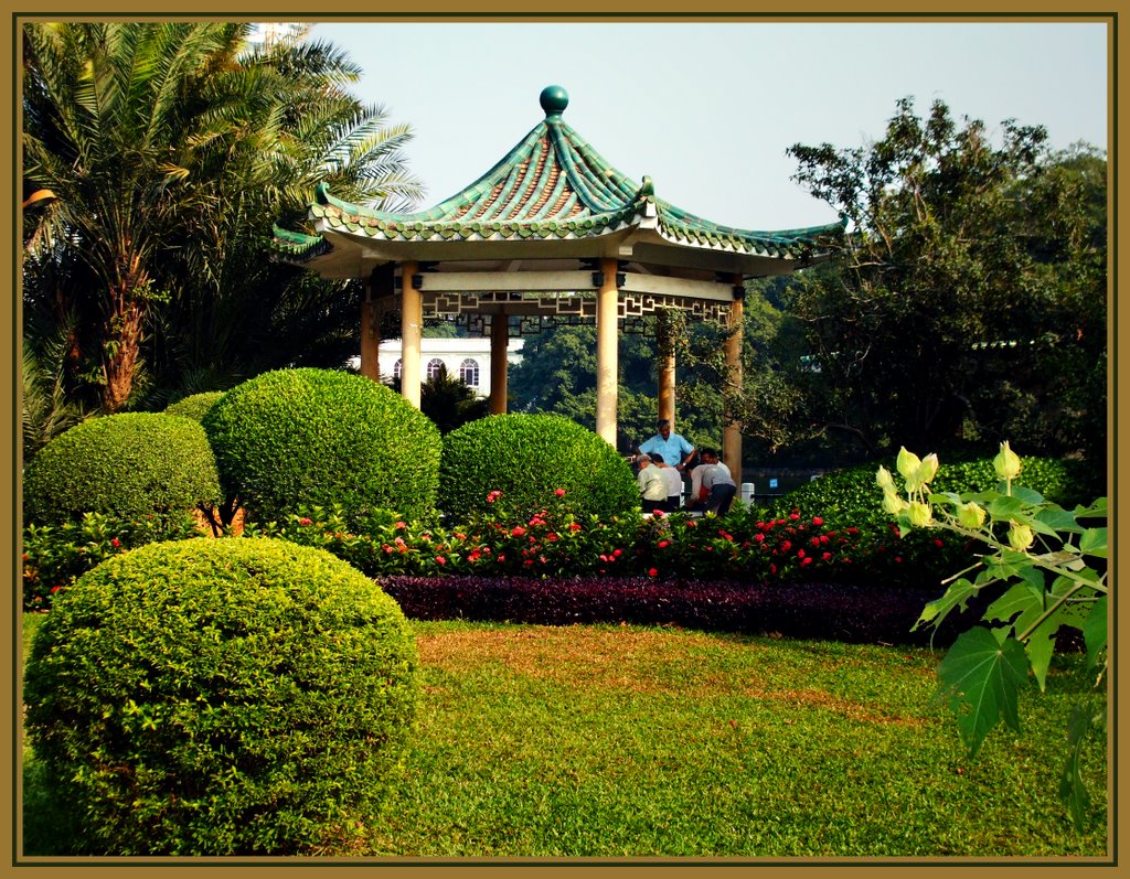 A little pagoda in Liuhua Park /Egy kis pagoda.../ by H. Prell Márta