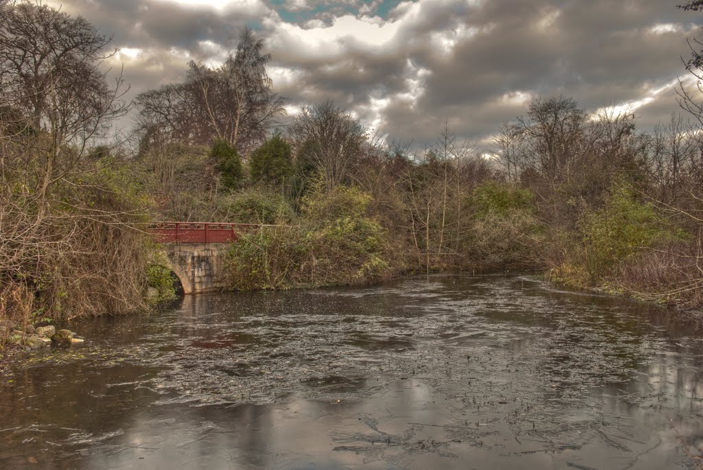 Edinburgh, the Royal Botanic Garden by Maciej Szester