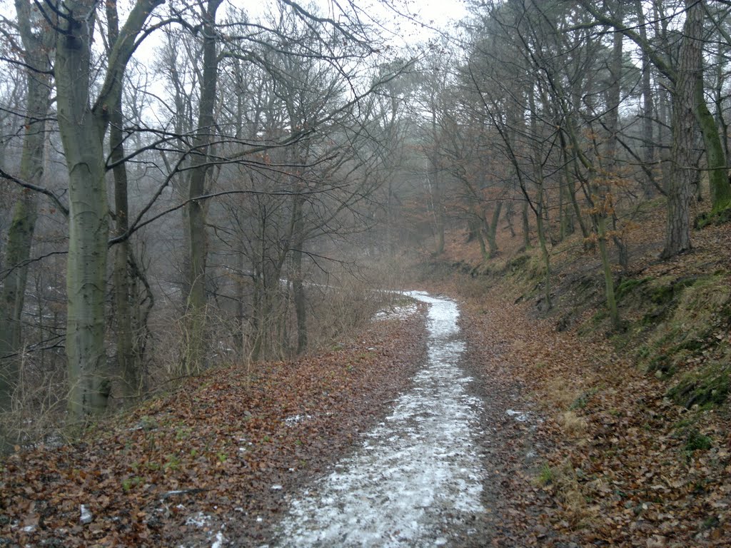 Cesta na Kamzík inak by Juraj Šoltés (1977)