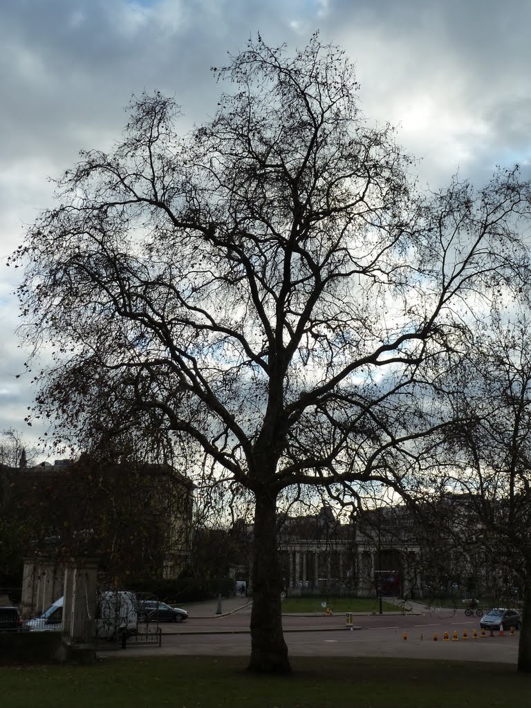 Hyde Park - London - UK - Londres by Paulo Targino Moreira Lima