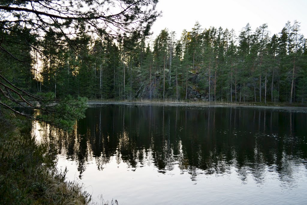 Lake Mustalampi, "Black Pond" (Espoo, 20111226) by RainoL