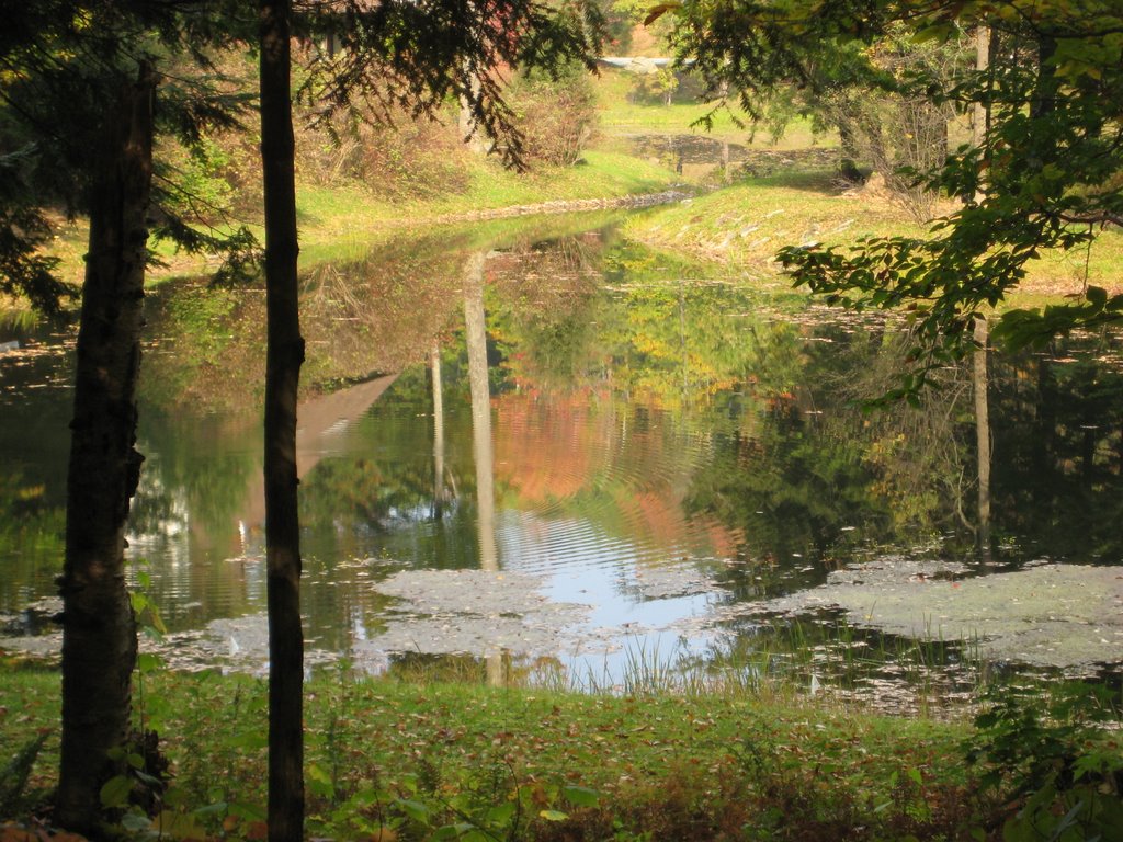 Intervale Pond by brian1366