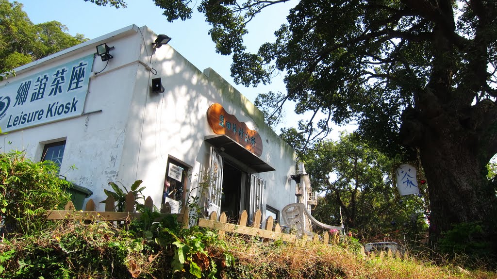 鹽田梓村公所和鄉誼茶座 Leisure Kiosk，百年老黃樟樹 More than 100 years old Yellow Camphora Tree by Suzanna Chan