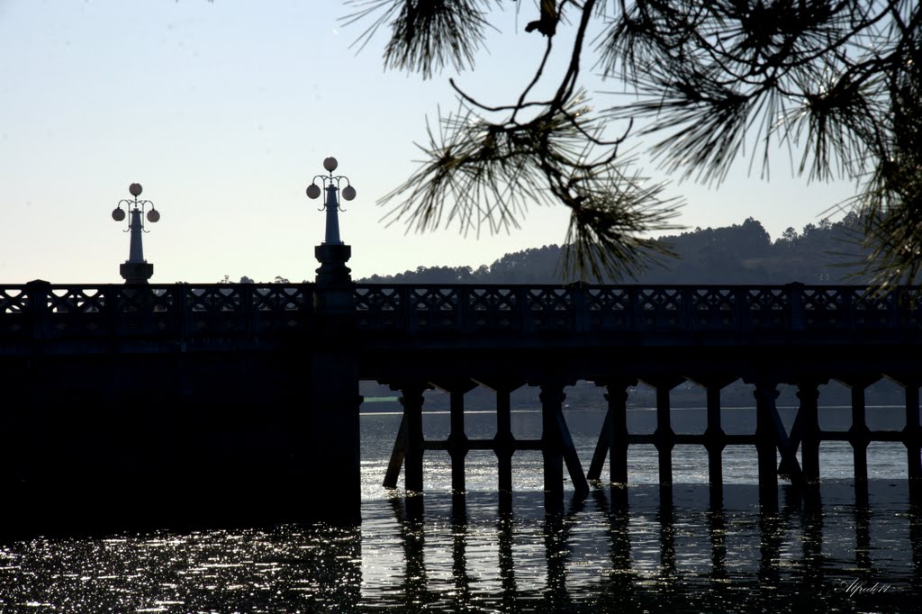 Si te sientes solo es porque construíste muros en vez de puentes que te ayuden a comunicarte con los demas . by Alfredo Caldevilla