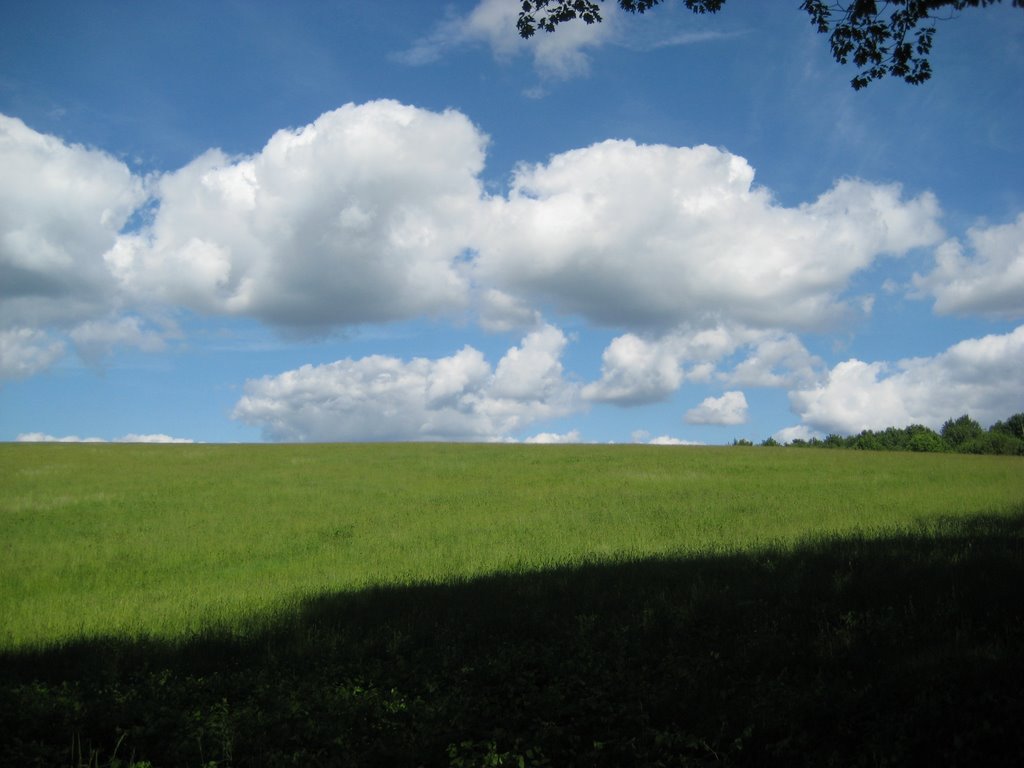 Green Field by brian1366