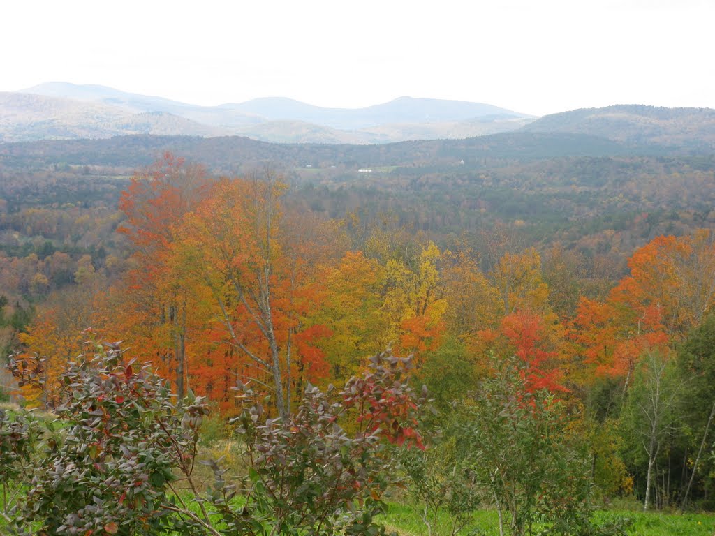 Wellwood Orchads Fall #2, Springfield, VT, 10/16/2011 by Juan Porto