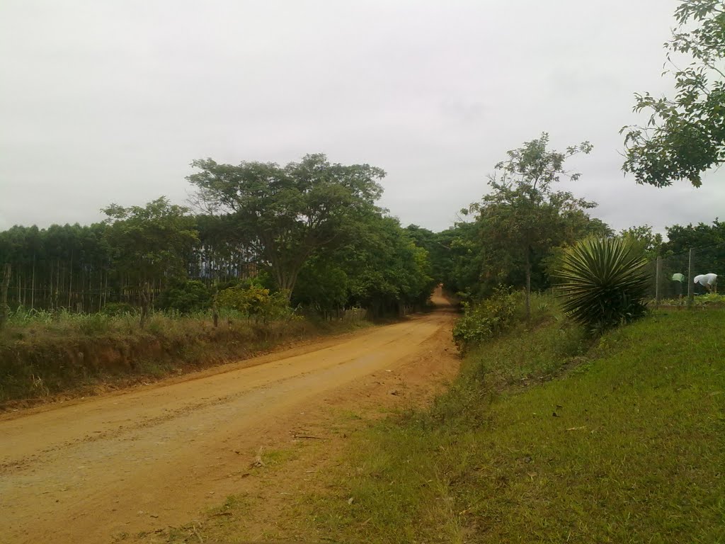 Estrada Juca Monteiro - Dist. São Valentim - Santa Maria - RS-2012 by Edilson Toniolo