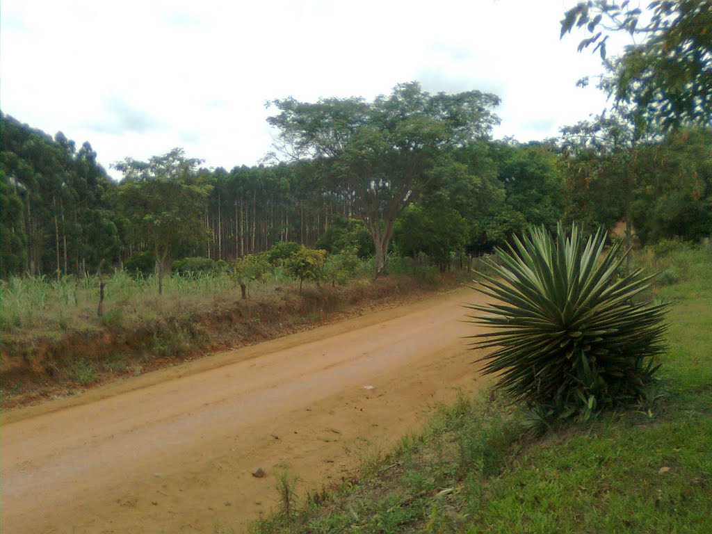 Estrada Juca Monteiro - Dist. São Valentim - Santa Maria - RS-2012 by Edilson Toniolo