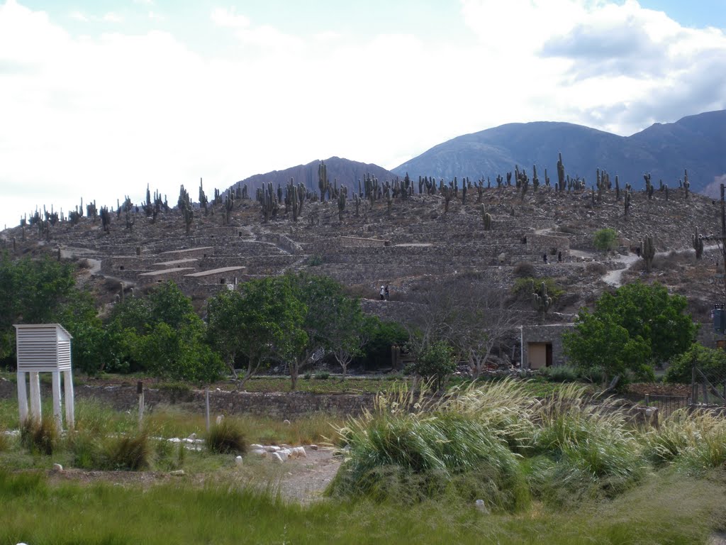 View of El Pukara from the botanical garden by gorgorgorian