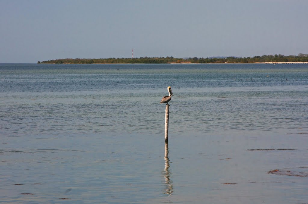 Mexico, Champoton March 2010 by Kazaniya КириллКа