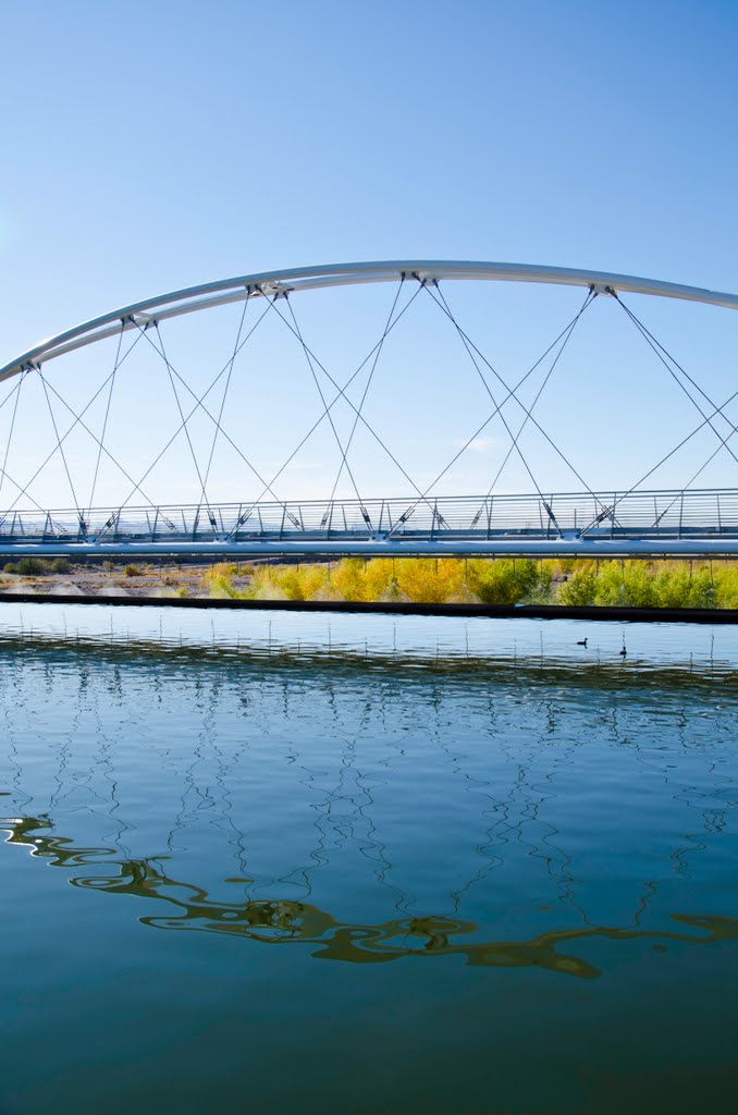 Tempe Town Lake Walk Bridge, Tempe, Arizona by davidpinter