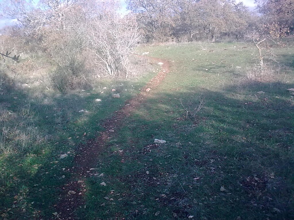 רוכב ישראל-הדרך מצומת המוביל חכיוון ריש לקיש מבט צפונה by drorwine