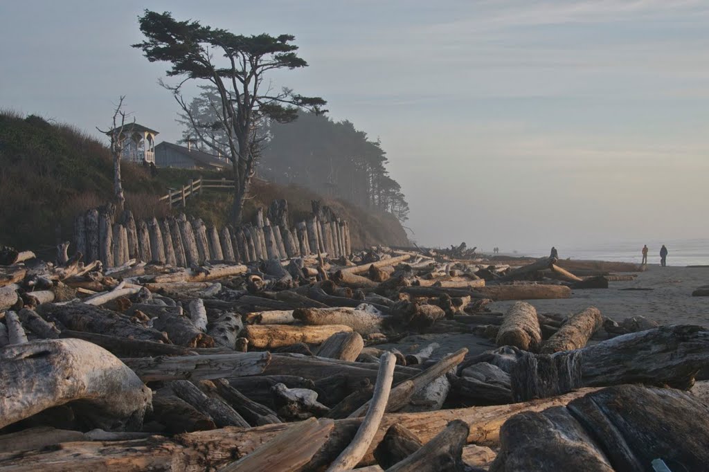 Kalaloch by Jim Bellamy