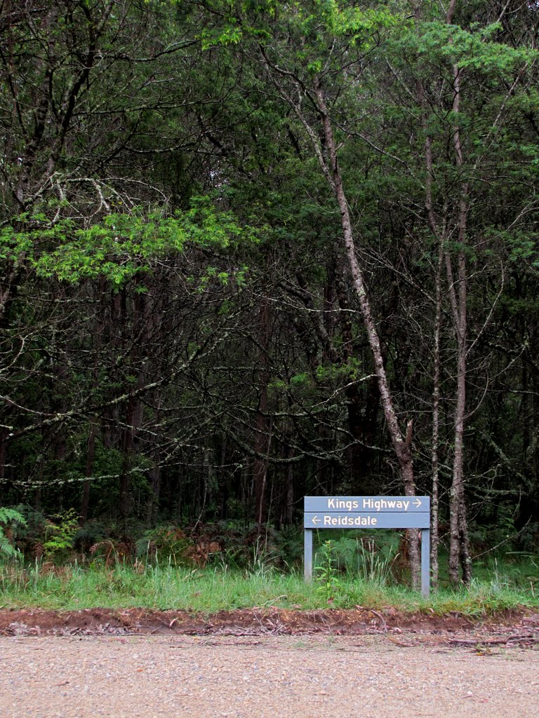 Reisdale Rd, Monga, NSW by Luke Johnston