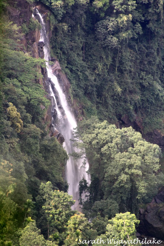 View of Aberden Falls from (near 3rd Km post ) this place -Atlis Wanguwa, Akkarawaththa. by Sarath.Wijayathilaka