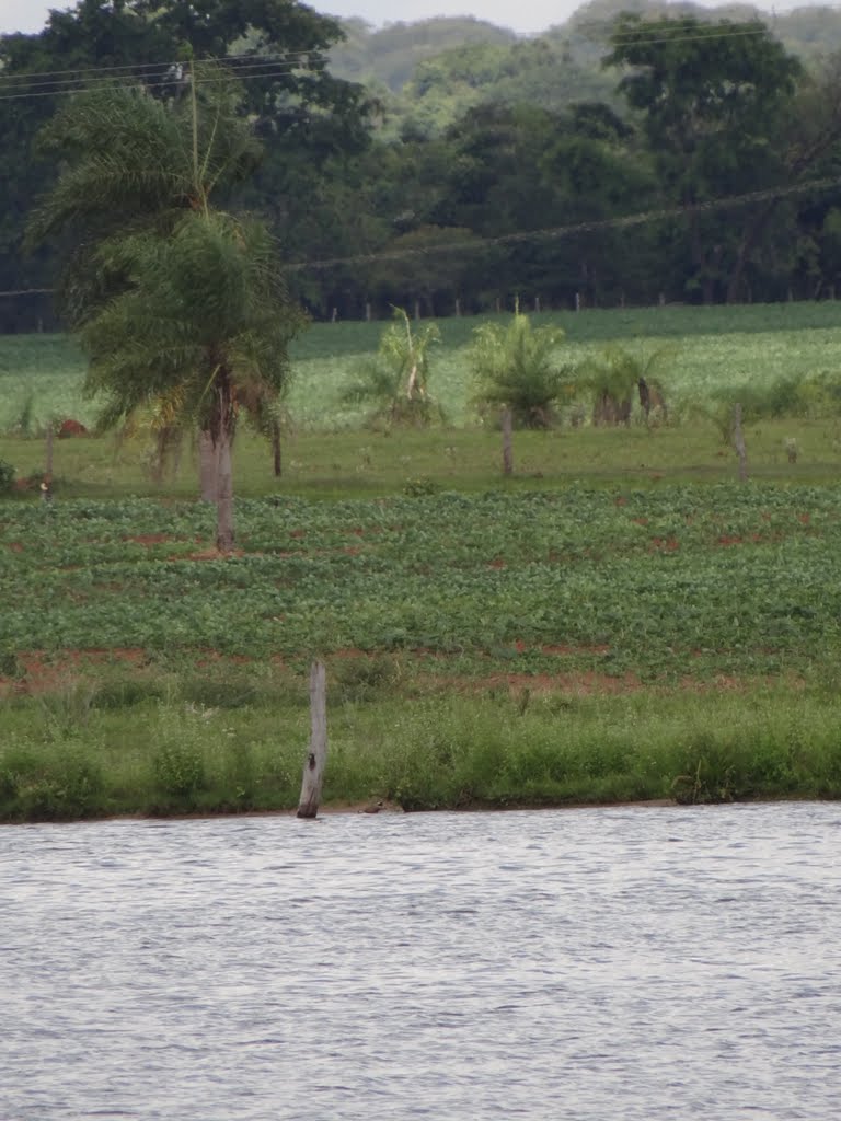 Rio Brilhante - State of Mato Grosso do Sul, Brazil by Arthur HBrito