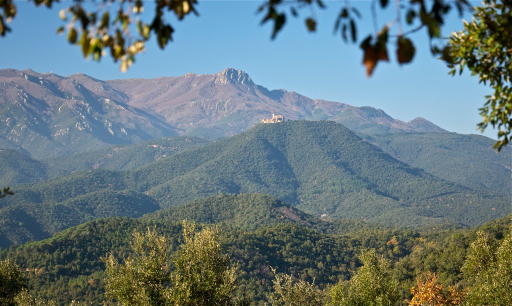 Sant Feliu de Buixalleu: El Montseny(Turo del Home,les Agudes i el Castell de Montsoriu) desde les cases Ramones by salvador soler vilavella