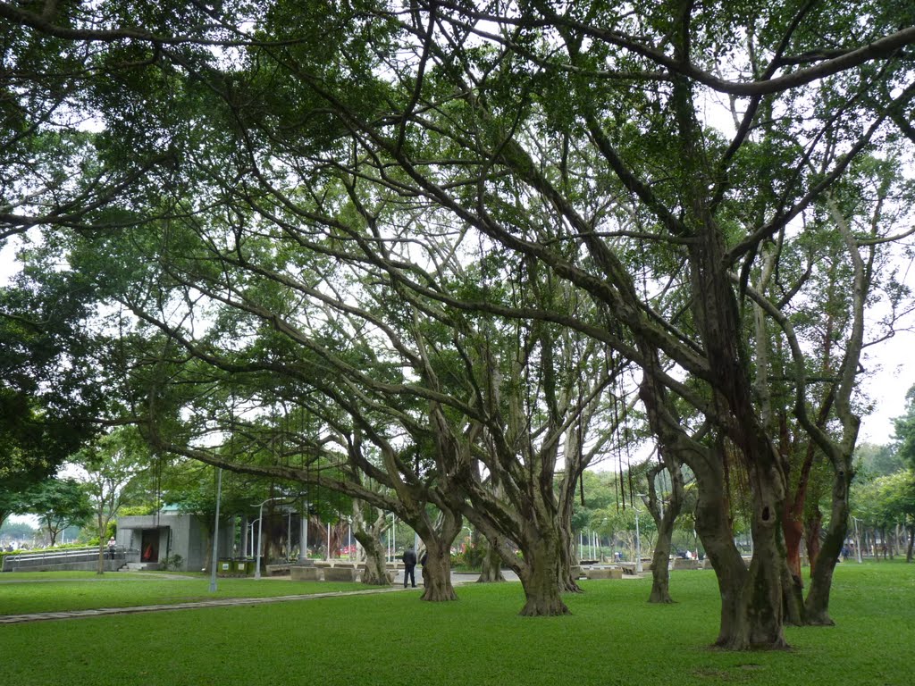 台北青年公園 Taipei Youth Park_tao by TC Tao