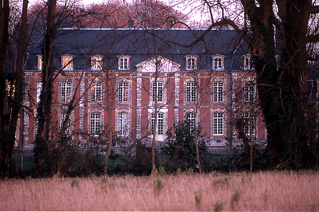 Le châteaux de Theuville-aux-Maillots by paoli