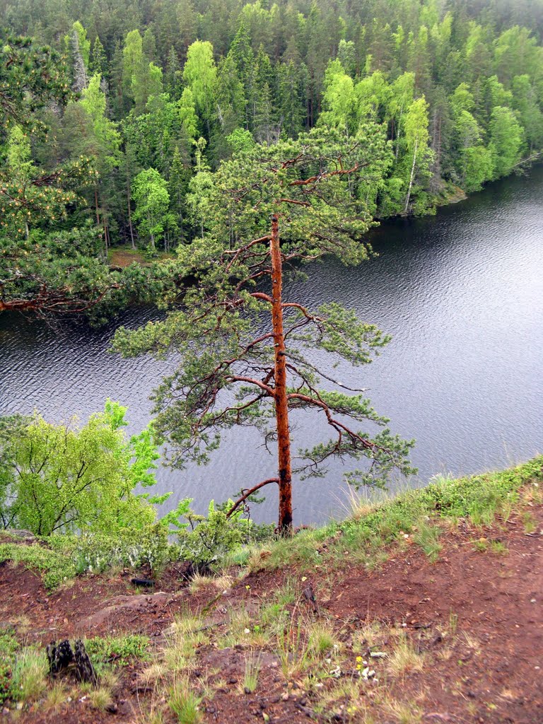 G. Sortavala, Kareliya Republits, Russia by GENE21