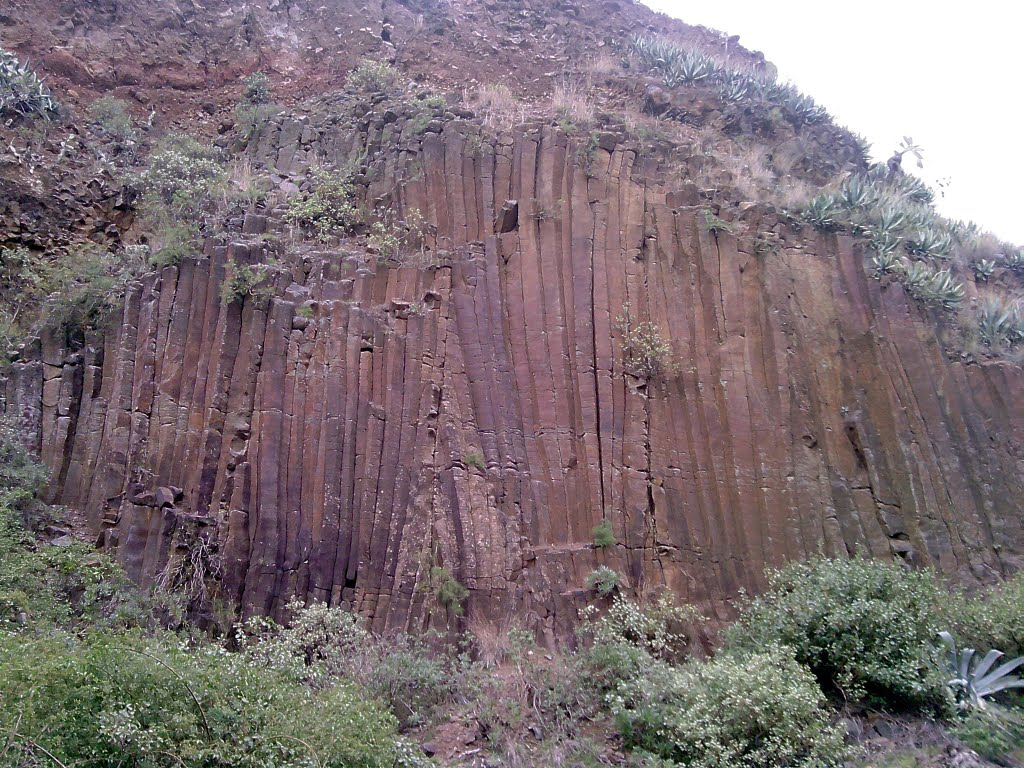 Organo volcanico by yeray santana