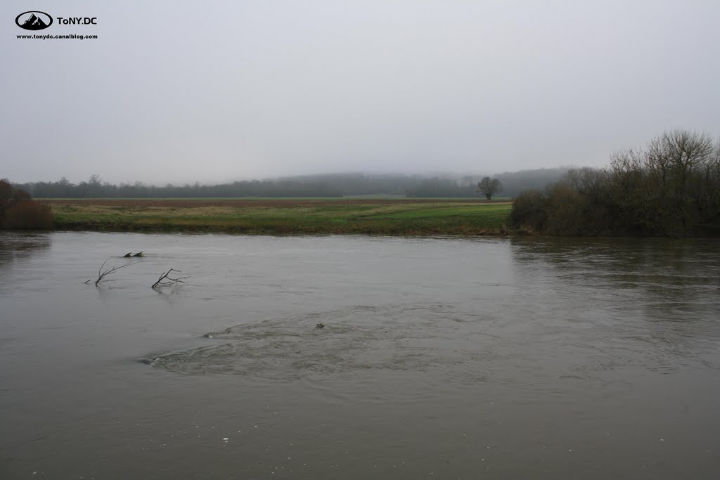 BORD DU CHER sous le brouillard by ToNY.DC