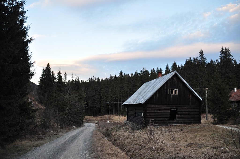 059 40 Liptovská Teplička, Slovakia by Pavol Gombos