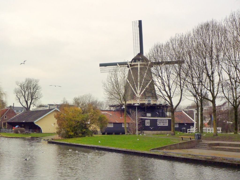 Molen De Ster by Martin Klumper