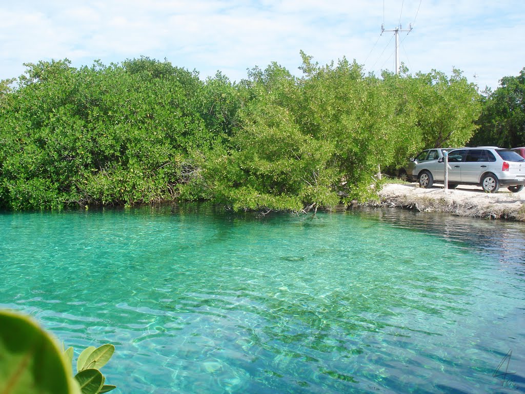 Casa Cenote by Fer M.