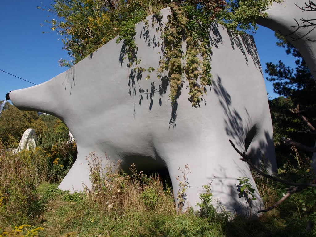 Thorncliffe Park, Toronto, ON, Canada by jack1254