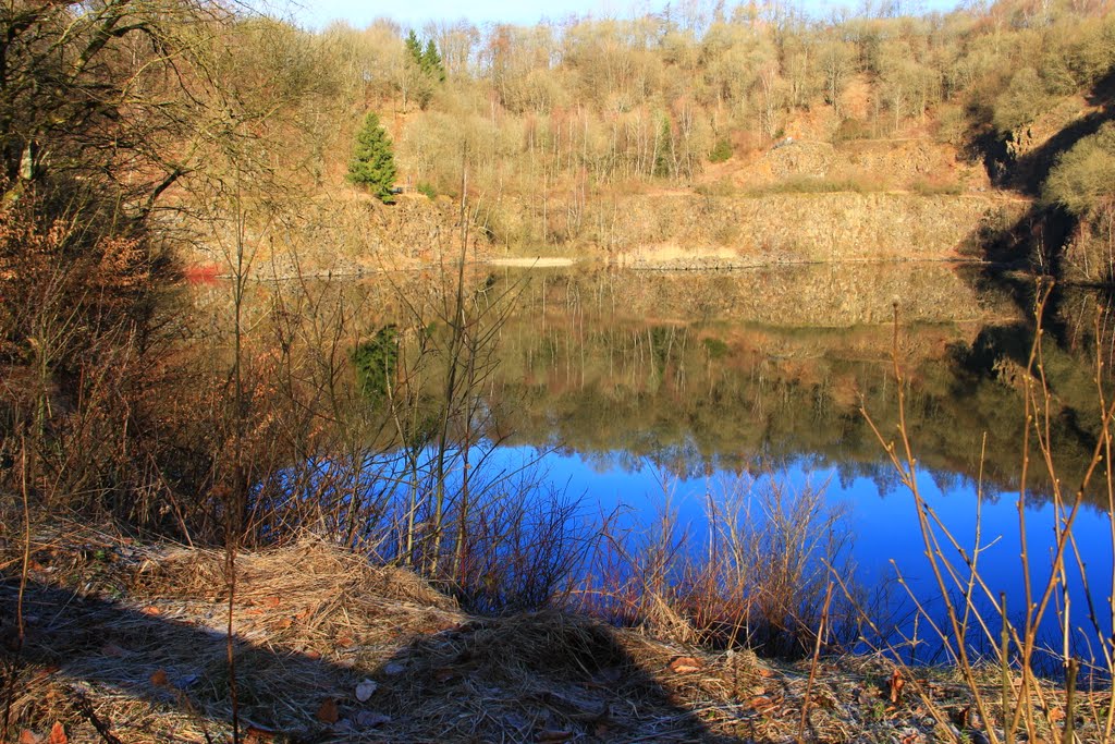 Basaltpark Bad Marienberg im Frühjahr by Ralph Dörr