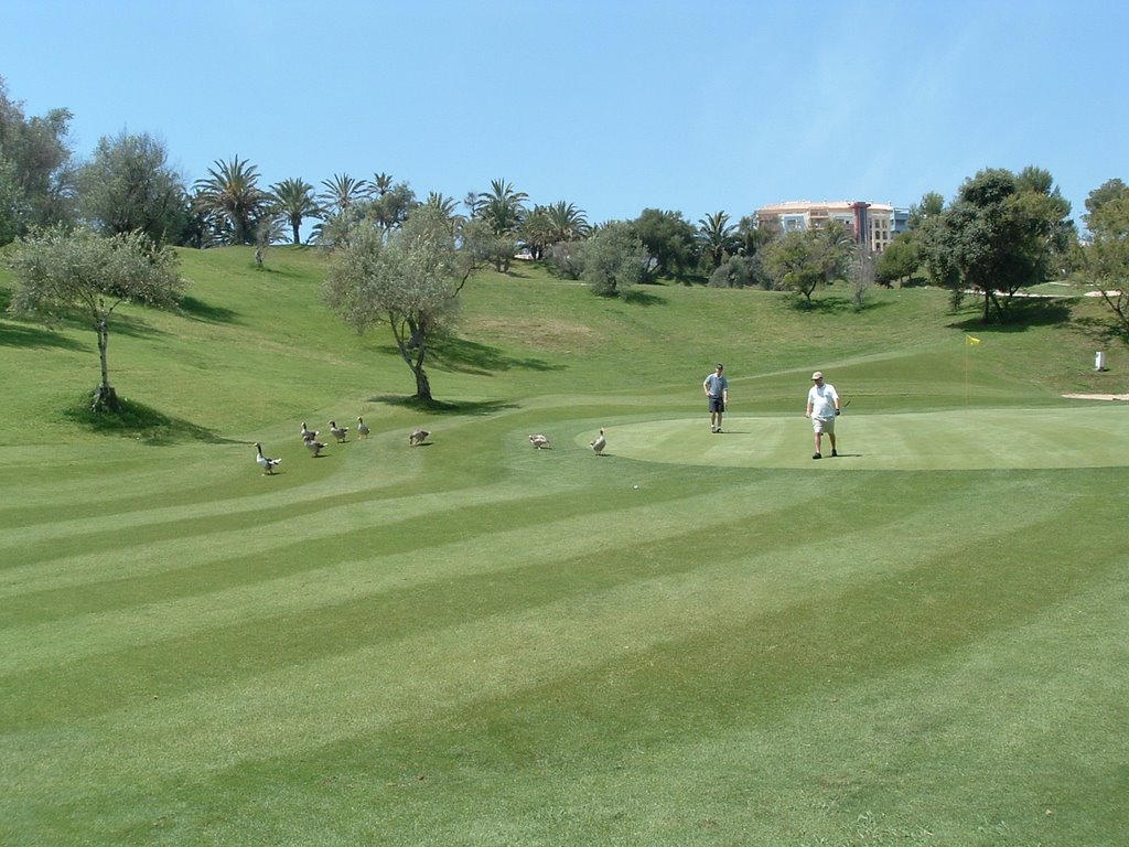 Torrequebrada Golf #10 by nevmiles