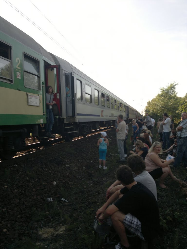 POLSKA RZECZYWISTOŚĆ POPSUTY SKŁAD W OKOLICY TRZEBINY 11 WRZEŚNIA 2011 R TAKIE ZDIĘCIA TYLKO Z POLSKI tlk CZESŁAW MIŁOSZ by tomas-26